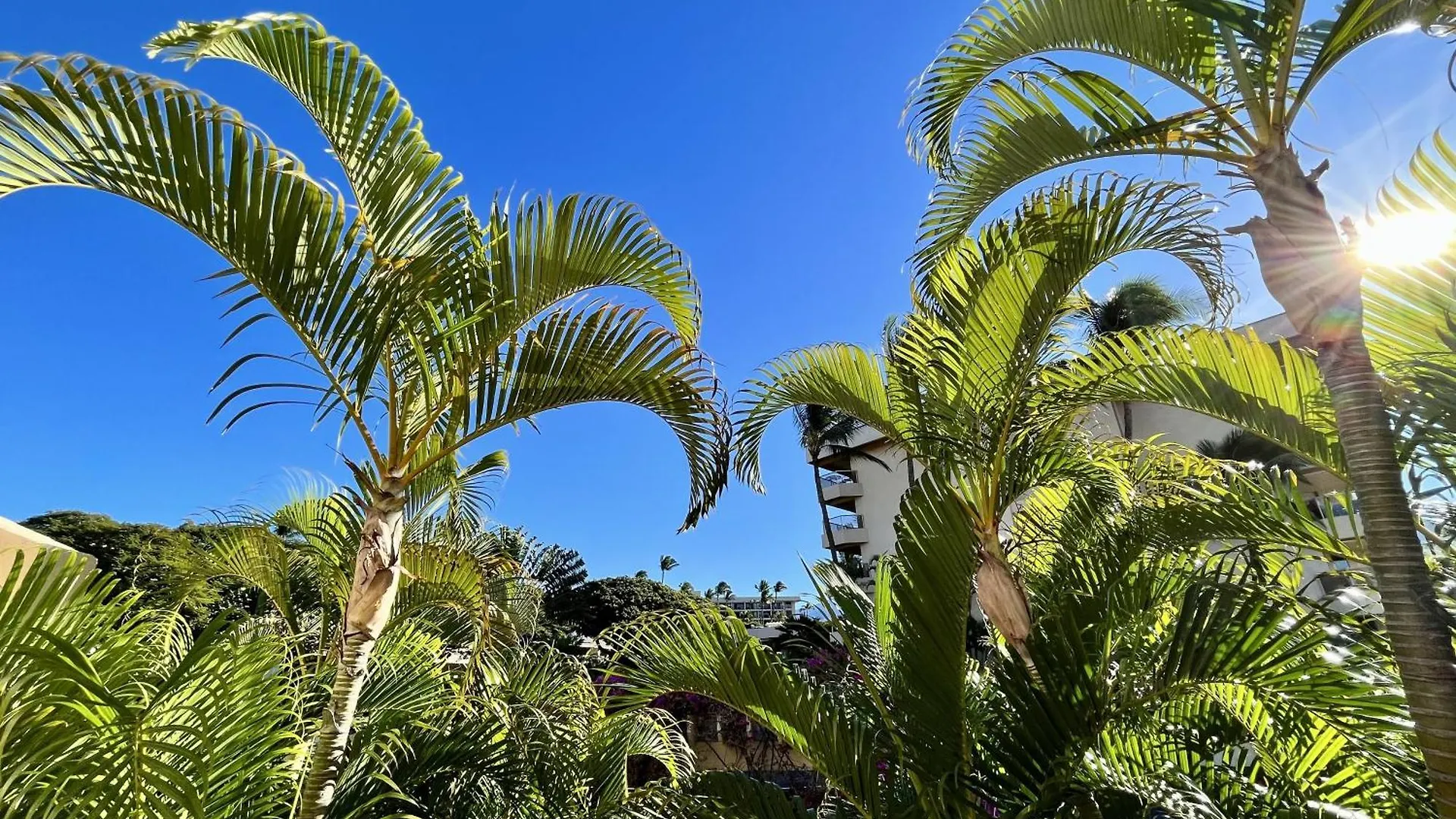 Maui Banyan Villa Wailea  United States